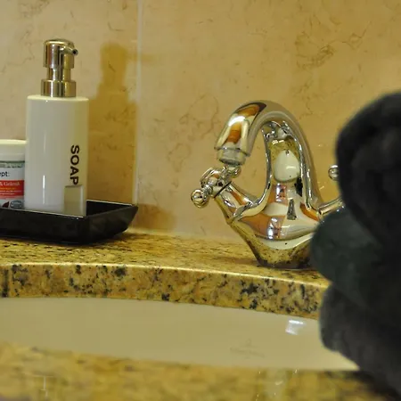 Penthouse Kitzpanorama Appartamento *